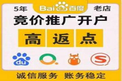行业新秀的SEM托管代运营之路